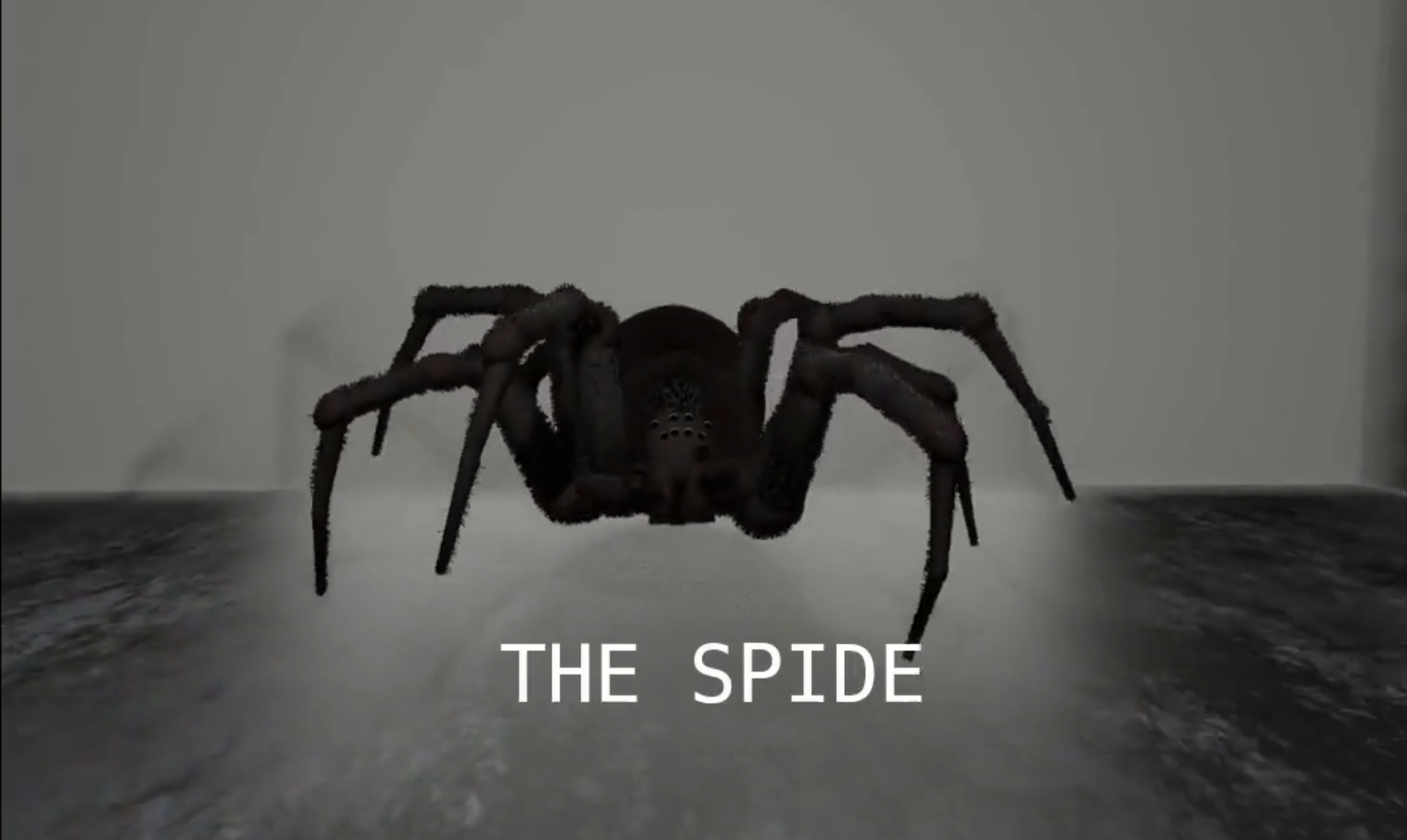 The Spide