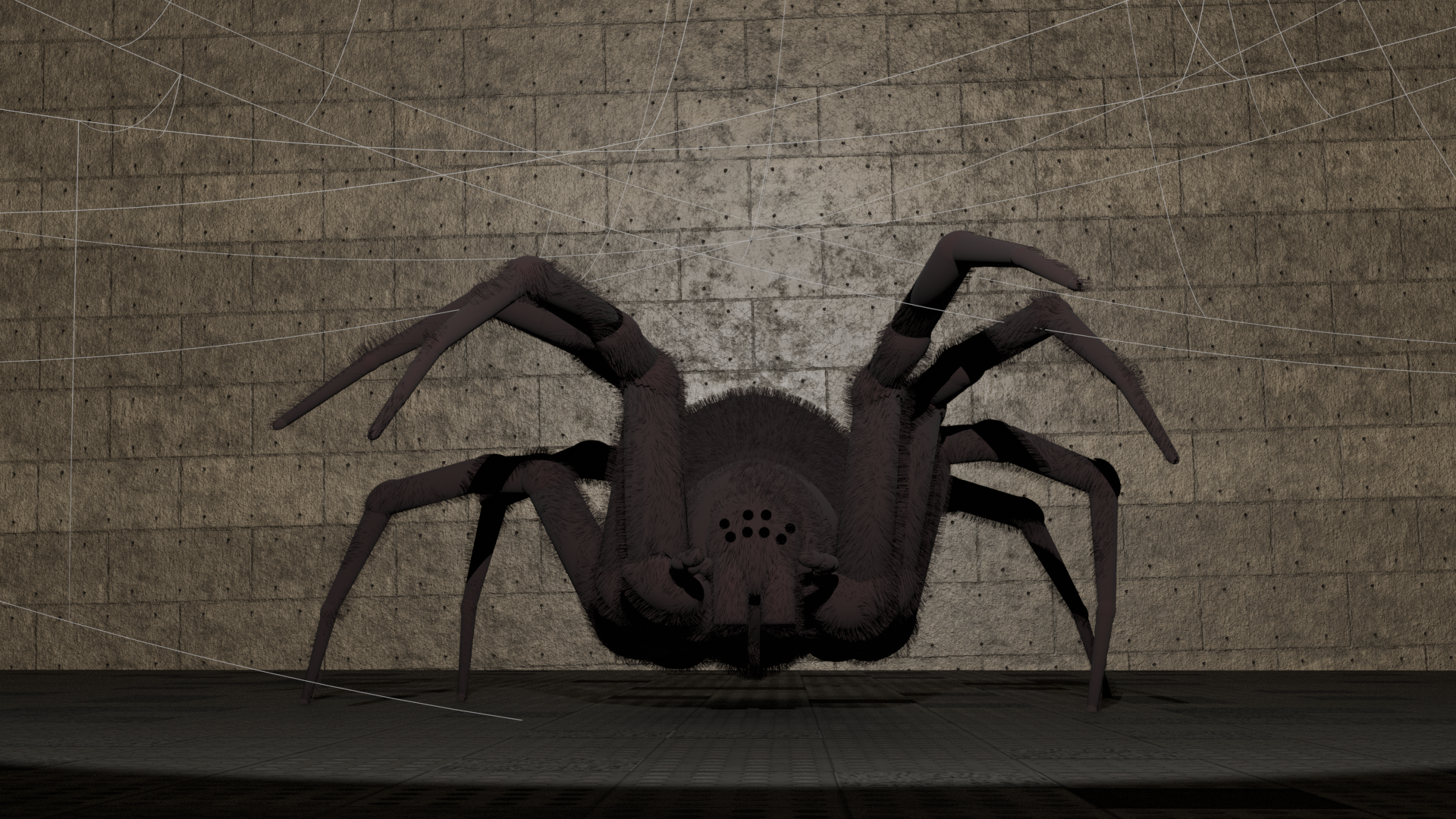 THE SPIDE